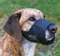 размер M, нейлон, черный