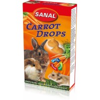 Дропсы с морковкой SK7550 SANAL Carrot Drops 45 г