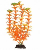 Растение "Амбулия" оранжевая, (пакет)