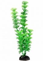Растение 1065LD "Амбулия" зеленая, 300мм, (пакет)