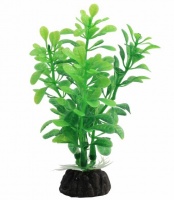 Растение 1030LD "Альтернантера" зеленая, 100мм, (пакет)