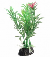 Растение 1032LD "Лимнофила цветущая", 100мм, (пакет)