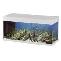 DUBAI   Стеклянный аквариум с лампой, внутренним фильтром и таймером