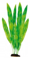 Пластиковое растение