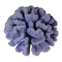 710KA Грот "Морской коралл" фиолетовый   18,5*17,5*11см