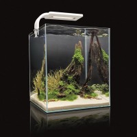 20х20х25см./ 10л белый