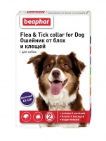 10198 Beaphar Flea & Tick collar for Dog Ошейник от блох и клещей для собак (фиолетовый)