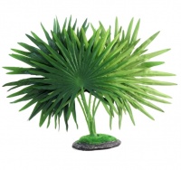 Растение "Веерная пальма", 520мм