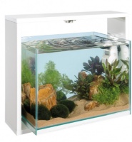 Открытый аквариум со светодиодной подсветкой и фильтром