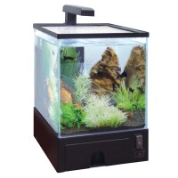 Aqua Box Betta 5,7л для рыб., 20,5*19*27 см (освещение + фильтр помповый)